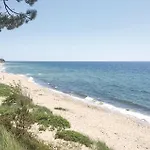 Rubinsoen Skovhuse Hébergement de vacances Hasle